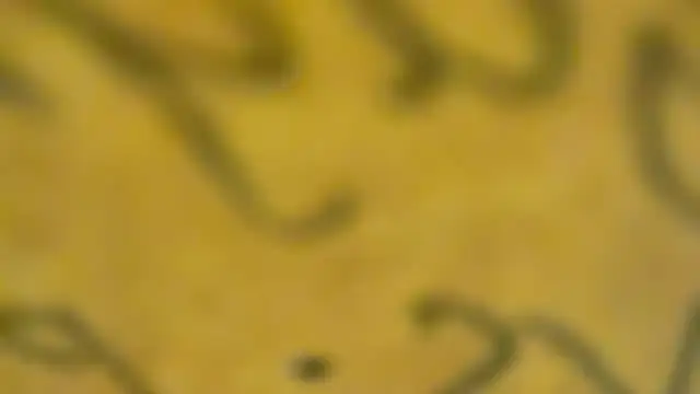 Snapshot of fmodel chatting on 01-03-25, 03:44 fmodel online show from 01-03-25, 03:44