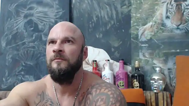 viking 30 online show from 09-11-25, 06:08