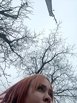 Model9798 online show from 01-24-25, 11:59