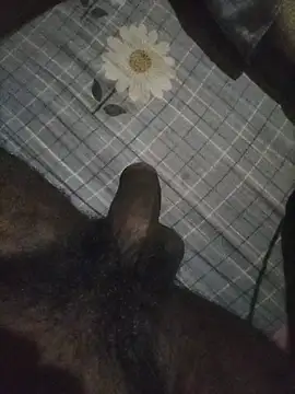 Snapshot of naxus@xh chatting on 11-07-25, 05:57 naxusxh online show from 11-07-25, 05:57