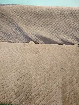 Snapshot of indianbulldelhi chatting on 10-16-25, 05:08 indianbulldelhi online show from 10-16-25, 05:08