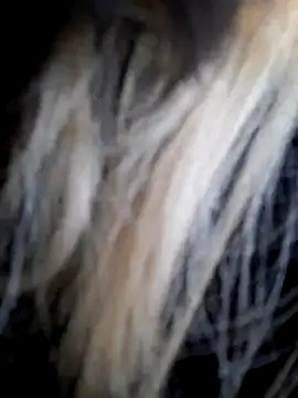 Dirtyfeelin online show from 12-14-25, 11:59