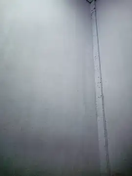 Snapshot of TropicalFlower chatting on 12-16-25, 10:31 TropicalFlower online show from 12-16-25, 10:31