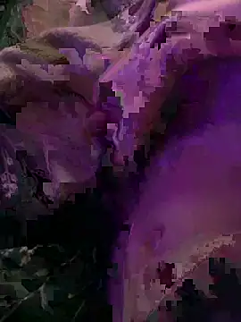 K100x online show from 12-04-25, 08:28