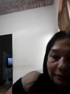 catdool online show from 10-26-25, 09:48