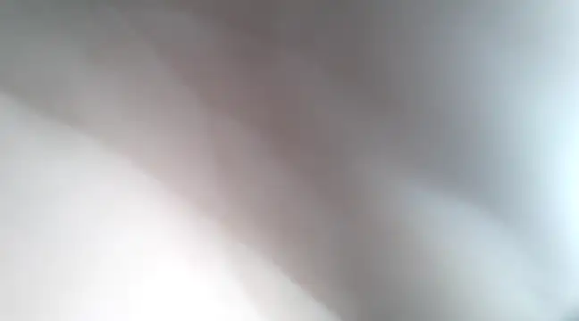 Dalton2288 online show from 01-21-25, 07:50