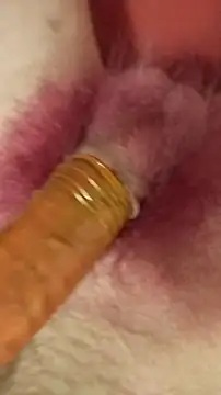 DerWeisser online show from 02-03-25, 09:29