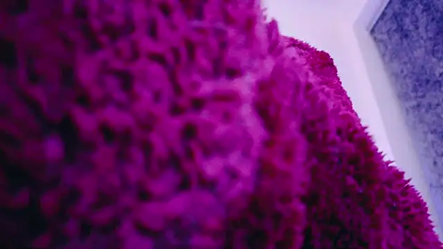 FemDom RubyKnightXXO online show from 03-18-25, 08:37