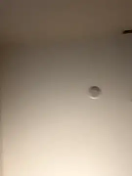 DancingLemonade online show from 11-16-25, 11:49