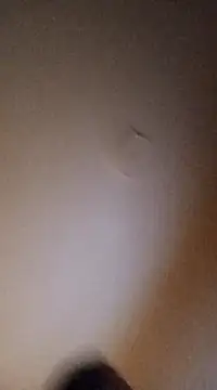 Snapshot of BunnyandClydeDk chatting on 03-04-25, 03:44 BunnyandClydeDk online show from 03-04-25, 03:44