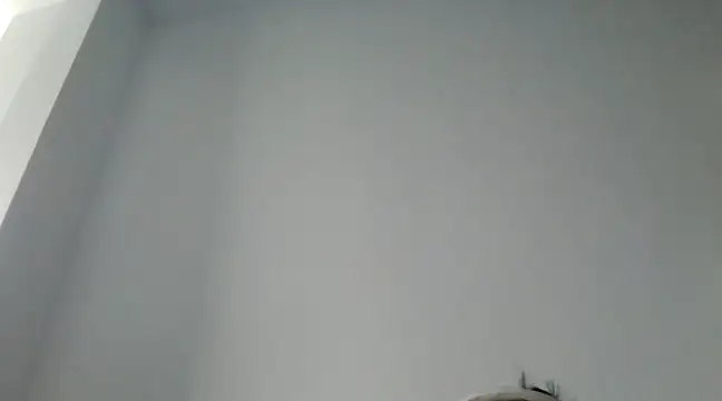 FallenDevil online show from 12-29-24, 11:40