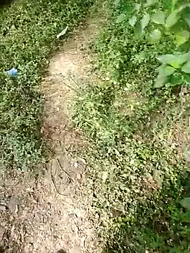 Snapshot of rameshmry1 chatting on 01-07-26, 04:59 rameshmry1 online show from 01-07-26, 04:59