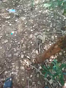 Snapshot of rameshmry1 chatting on 02-21-26, 08:59 rameshmry1 online show from 02-21-26, 08:59