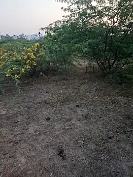 Snapshot of rameshmry1 chatting on 03-05-26, 12:34 rameshmry1 online show from 03-05-26, 12:34