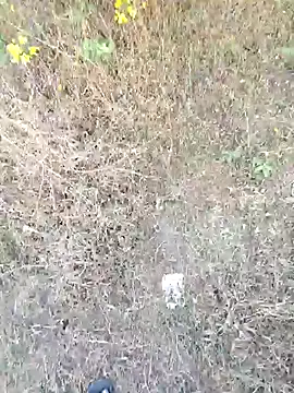 Snapshot of rameshmry1 chatting on 03-21-26, 12:10 rameshmry1 online show from 03-21-26, 12:10