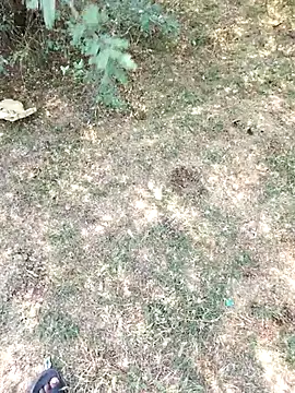 Snapshot of rameshmry1 chatting on 03-29-26, 05:29 rameshmry1 online show from 03-29-26, 05:29