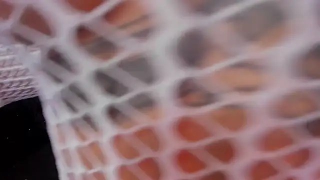 Snapshot of rosalia-04 chatting on 11-10-25, 06:07 rosalia-04 online show from 11-10-25, 06:07