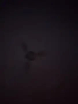 Snapshot of 1Aleks13 chatting on 11-25-25, 10:54 1Aleks13 online show from 11-25-25, 10:54