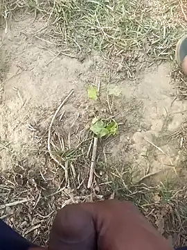 FinableKnee online show from 11-29-25, 10:07