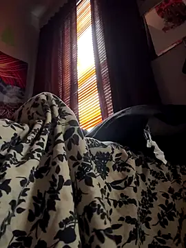 Snapshot of spideyzaddy chatting on 11-26-25, 04:41 spideyzaddy online show from 11-26-25, 04:41