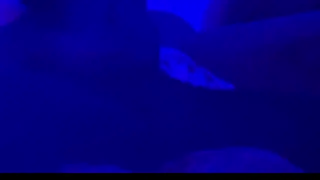 montydxxxx online show from 09-25-25, 10:35