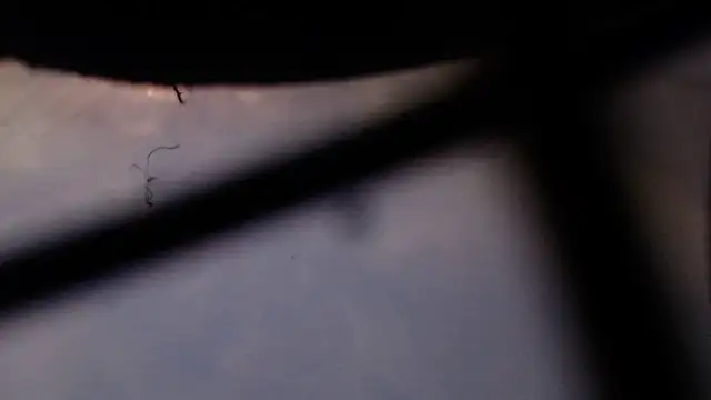 Cordt27 online show from 02-12-26, 04:02