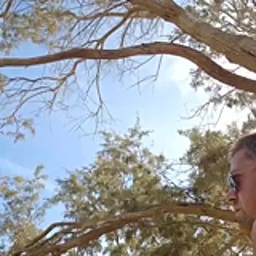 Trucker Hunter online show from 10-28-25, 02:31