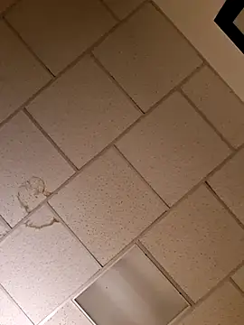 curiouscock38 online show from 11-20-25, 11:54