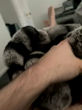 Snapshot of Furdale chatting on 12-03-24, 11:33 Furdale online show from 12-03-24, 11:33