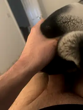 Snapshot of Furdale chatting on 12-03-24, 03:00 Furdale online show from 12-03-24, 03:00