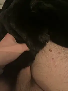 Snapshot of Furdale chatting on 12-10-24, 05:44 Furdale online show from 12-10-24, 05:44