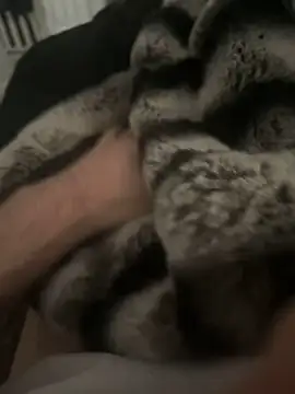 Snapshot of Furdale chatting on 12-17-24, 12:43 Furdale online show from 12-17-24, 12:43