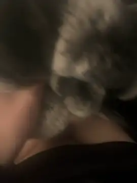 Snapshot of Furdale chatting on 12-17-24, 04:00 Furdale online show from 12-17-24, 04:00