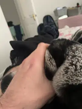 Snapshot of Furdale chatting on 12-19-24, 01:07 Furdale online show from 12-19-24, 01:07