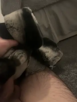 Snapshot of Furdale chatting on 01-07-25, 05:20 Furdale online show from 01-07-25, 05:20