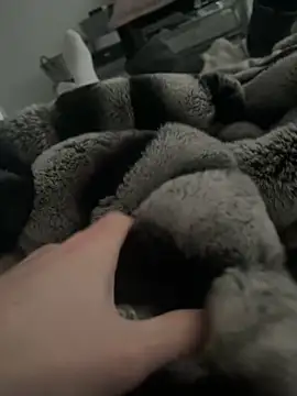 Snapshot of Furdale chatting on 01-09-25, 02:51 Furdale online show from 01-09-25, 02:51