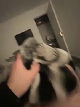 Snapshot of Furdale chatting on 01-17-25, 05:19 Furdale online show from 01-17-25, 05:19