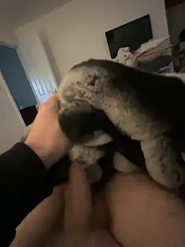 Snapshot of Furdale chatting on 01-24-25, 02:41 Furdale online show from 01-24-25, 02:41