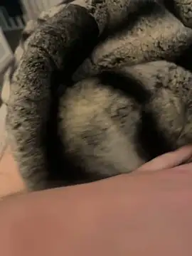 Snapshot of Furdale chatting on 02-17-25, 03:09 Furdale online show from 02-17-25, 03:09