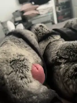 Snapshot of Furdale chatting on 02-26-25, 12:58 Furdale online show from 02-26-25, 12:58