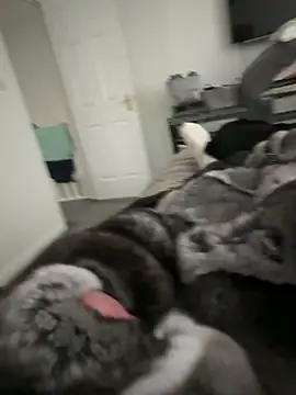 Snapshot of Furdale chatting on 09-22-25, 04:20 Furdale online show from 09-22-25, 04:20