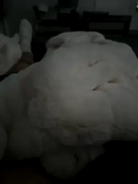 Furdale online show from 11-05-25, 02:50