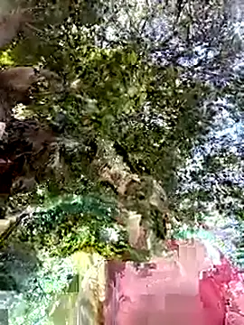 Nicolle Milf online show from 09-24-25, 06:55