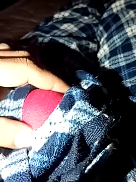 rodovlaz online show from 02-04-26, 11:42