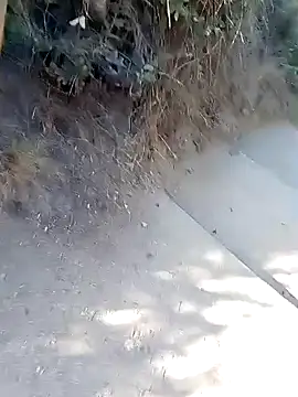 rodovlaz online show from 03-02-26, 01:07