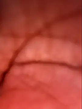 Snapshot of Samia_Queen chatting on 10-04-25, 02:37 Samia Queen online show from 10-04-25, 02:37