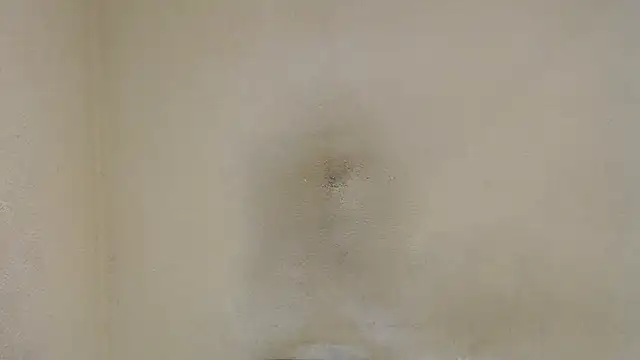 AlexNudo online show from 01-30-25, 04:45