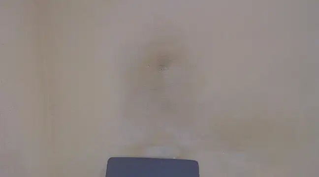 AlexNudo online show from 02-05-25, 04:58