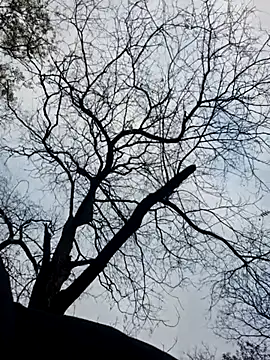 Snapshot of Keli_Jessi chatting on 11-19-25, 01:33 Keli Jessi online show from 11-19-25, 01:33