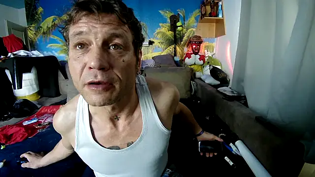 druckfug online show from 12-05-25, 11:19